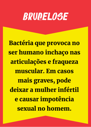 Brucelose