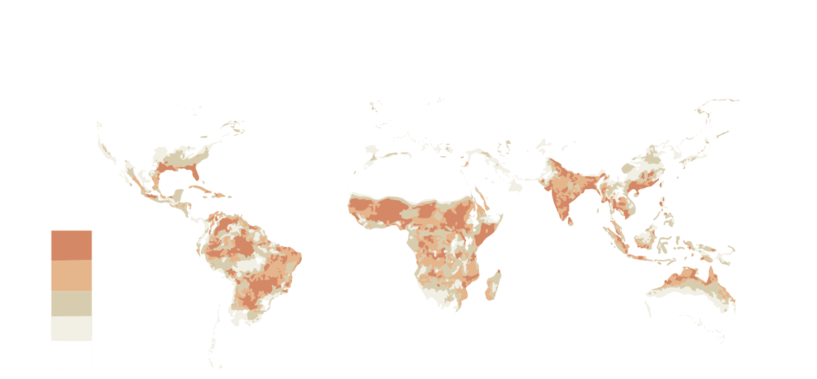 Distribuição do Aedes no mundo