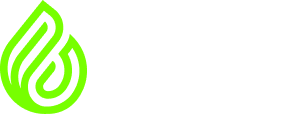 BRASIL BIOFUELS