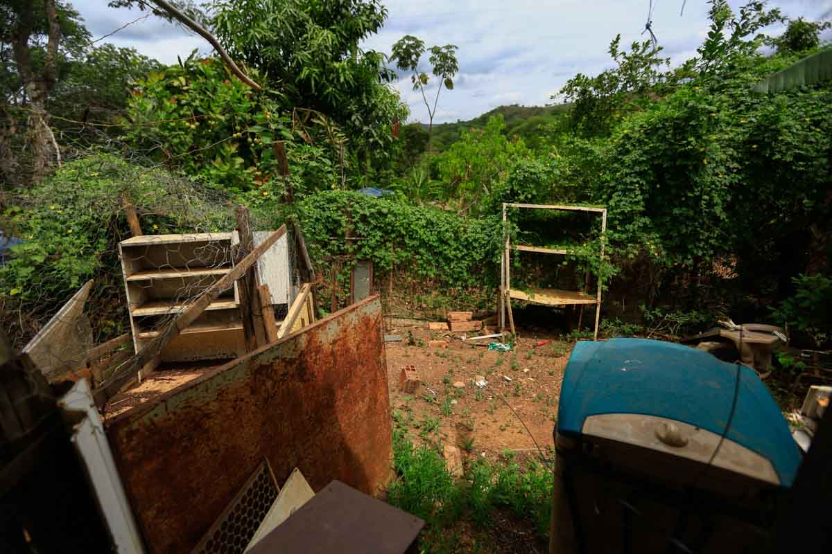 As casas no Catingueiro, perto da Fercal, são distantes umas da outras