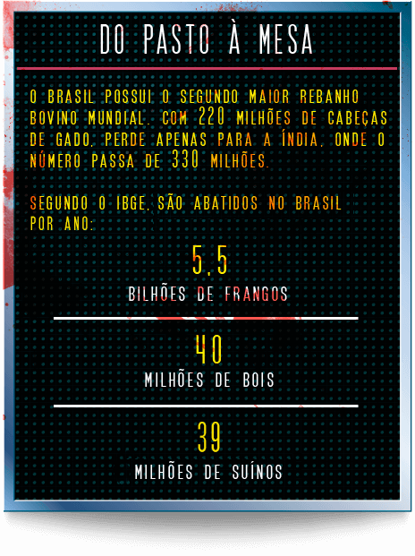 Ossos do ofício: a rotina cruel dos trabalhadores de frigoríficos