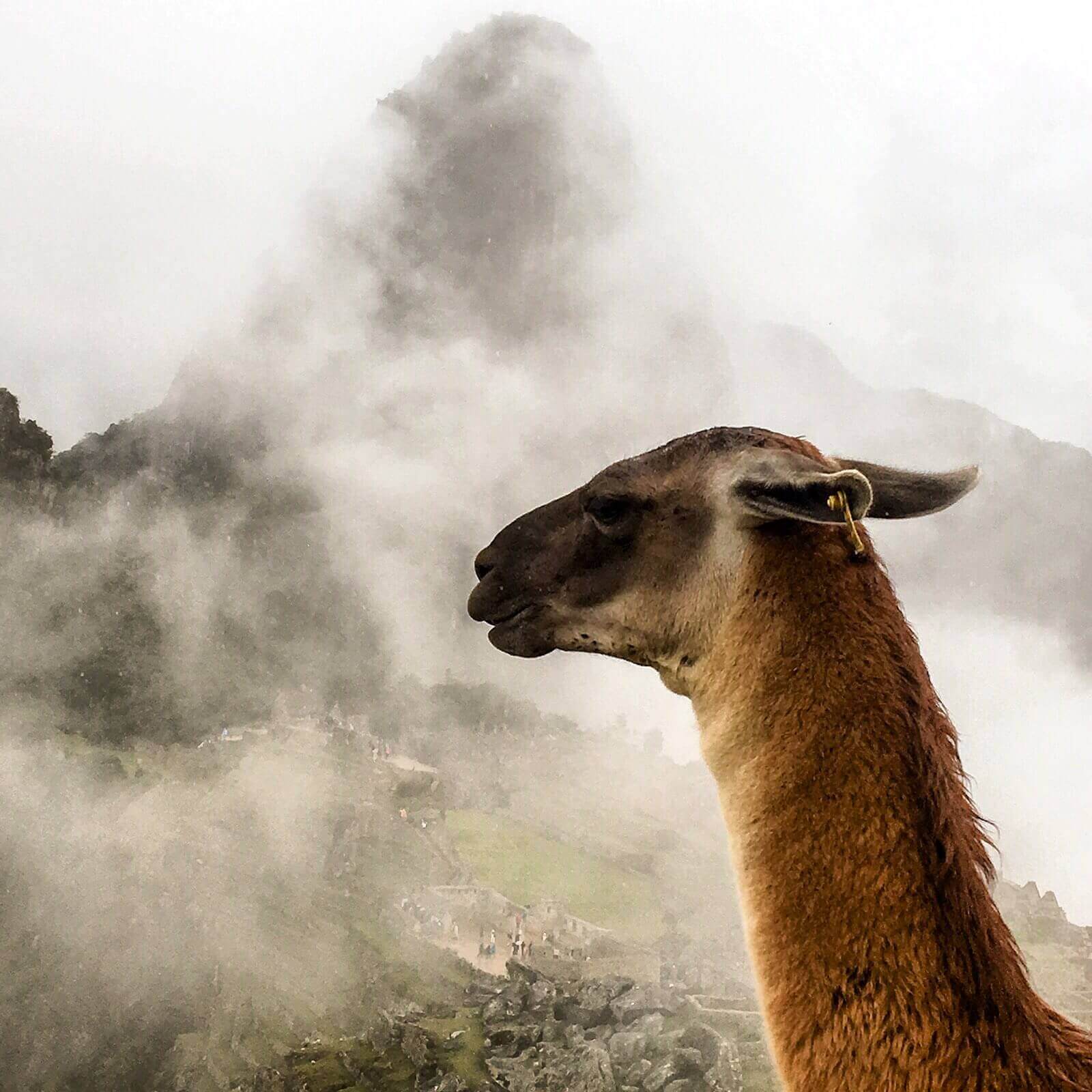 Machu Picchu, última parada desta aventura peruana