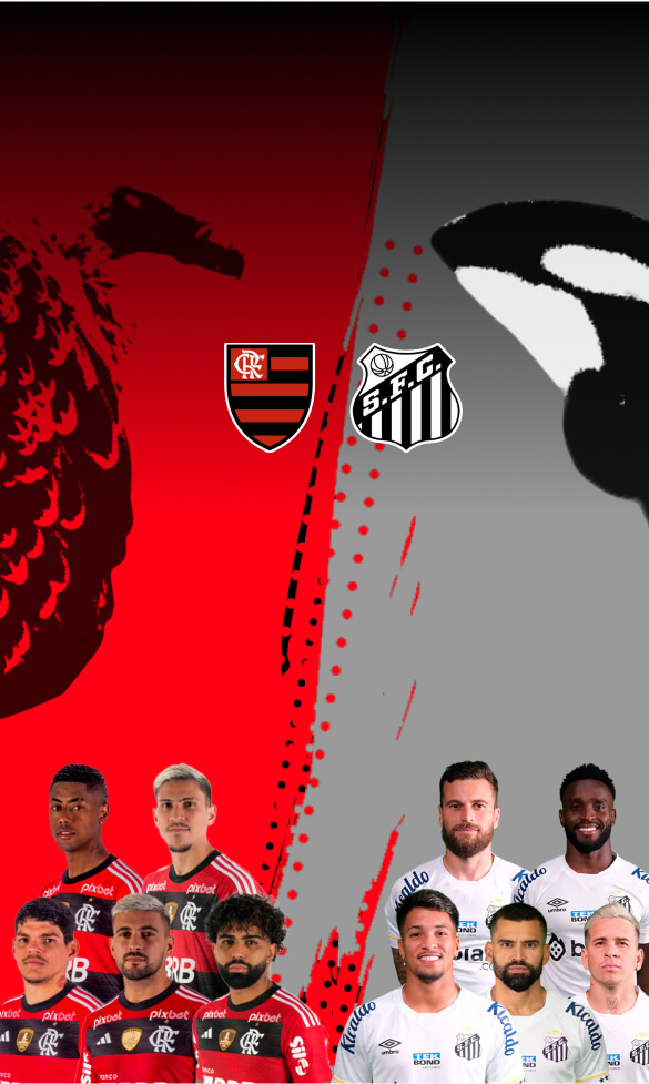 Compre o seu ingresso para o jogo Flamengo x Santos em Brasília